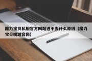 魔力宝贝私服官方网站进不去什么原因（魔力宝贝端游官网）