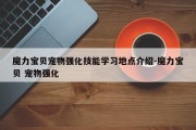 魔力宝贝宠物强化技能学习地点介绍-魔力宝贝 宠物强化