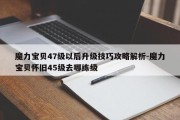 魔力宝贝47级以后升级技巧攻略解析-魔力宝贝怀旧45级去哪练级