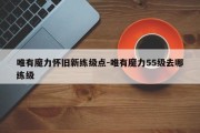 唯有魔力怀旧新练级点-唯有魔力55级去哪练级