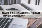 魔力宝物宠物战力怎么培育宠物战力提拔攻略（魔力宝物宠物技能在哪学）