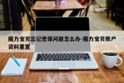 魔力宝贝忘记密保问题怎么办-魔力宝贝账户资料重置