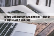 魔力宝贝私服100级去哪里烧技能（魔力宝贝怀旧100级去哪烧技能）