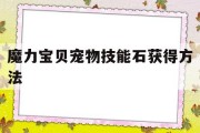 魔力宝贝宠物技能石获得方法(魔力宝贝宠物技能书页怎么获得)