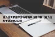 魔力宝物私服手游攻略宠物技能详解（魔力宝物手游攻略2020）